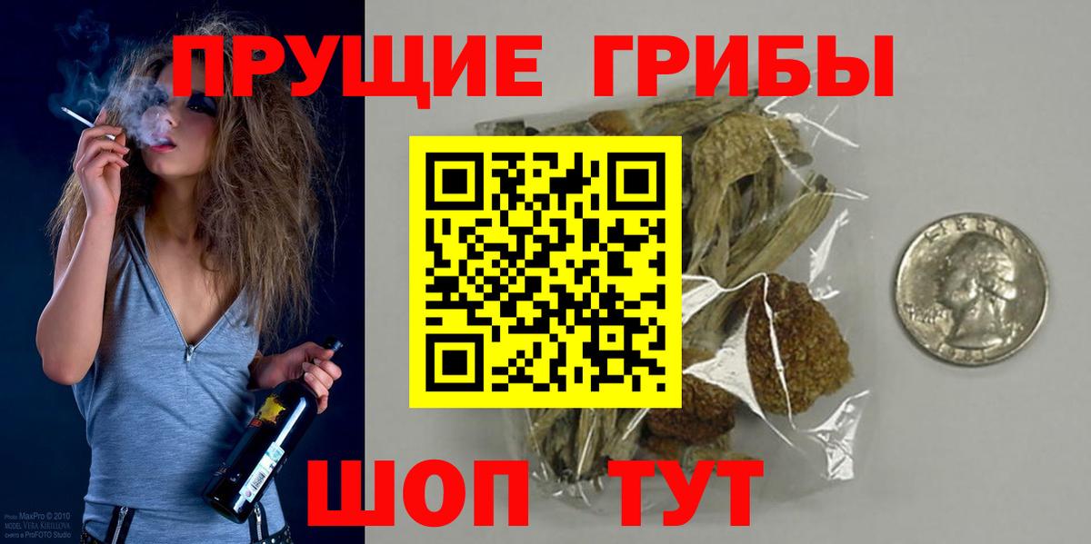 Кизляр  наркошоп  Вход с VPN  Галлюциногенные грибы прущие грибы 