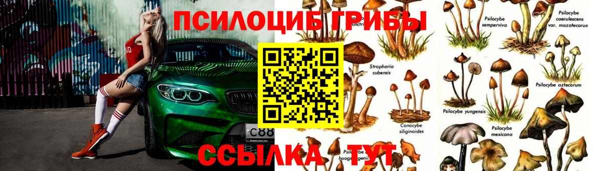 Галлюциногенные грибы ЛСД Кизляр